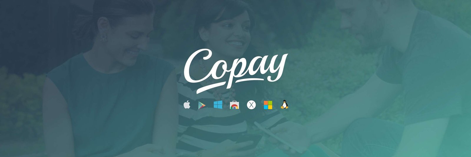 Copay review the interface