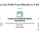 Invest in BitIndia