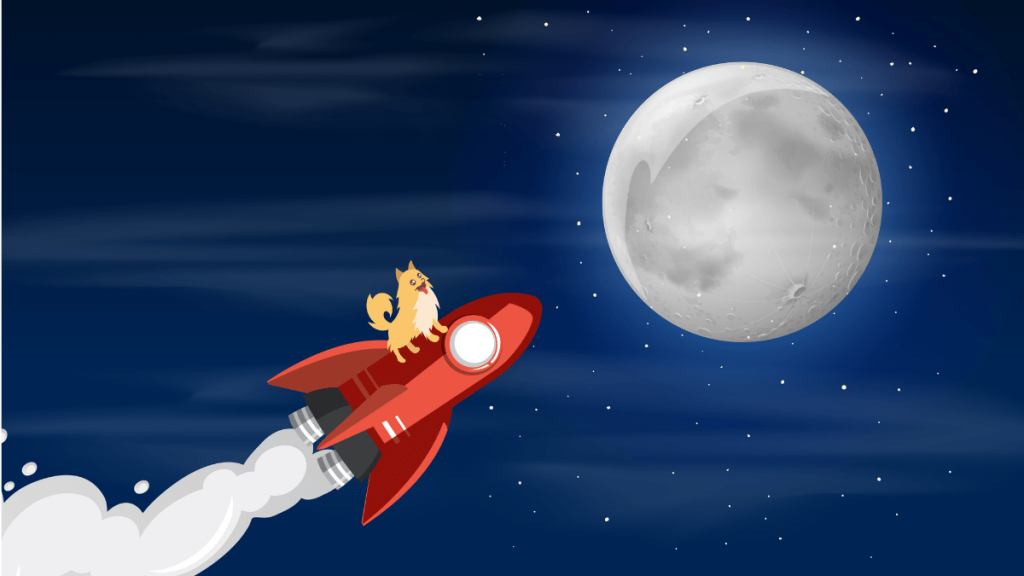 doge in the space going to the moon