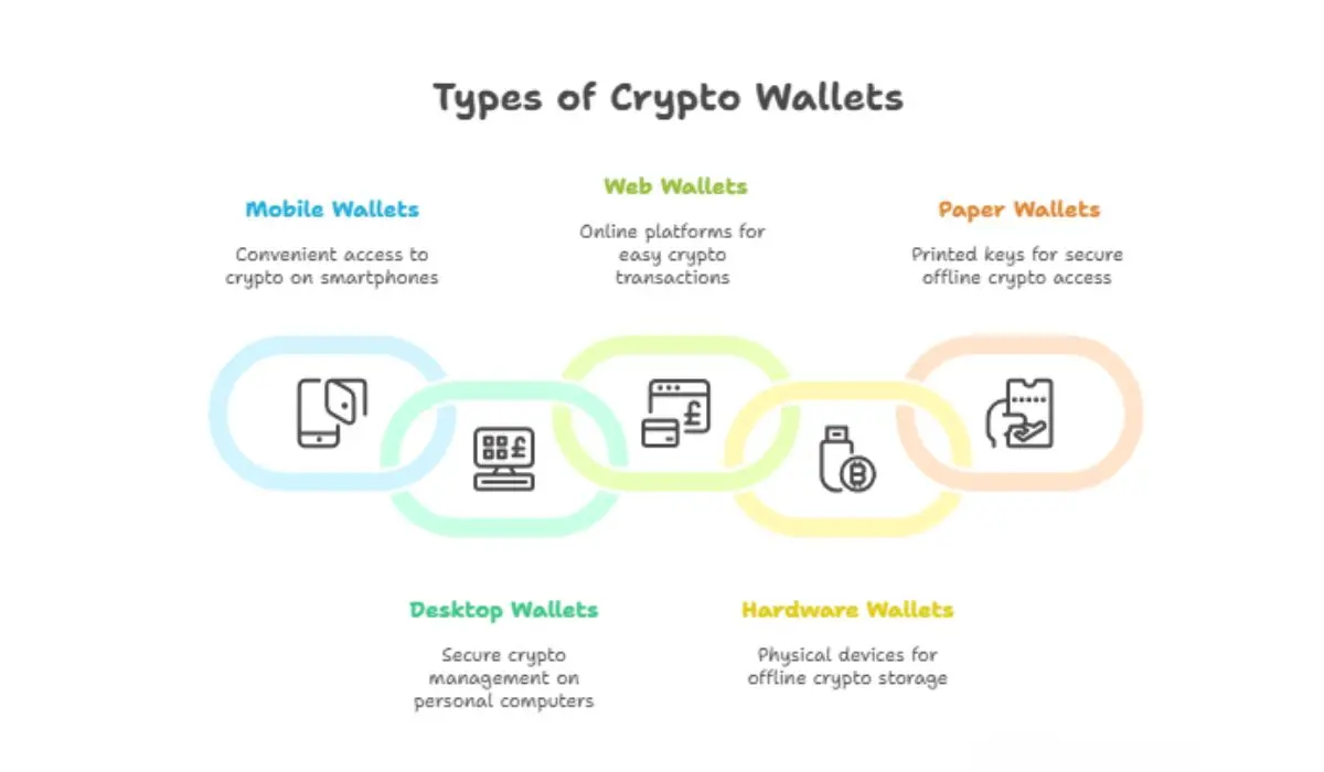 Types of crypto wallets infographics