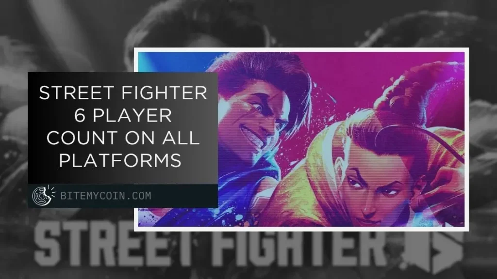 Street Fighter 6 Player