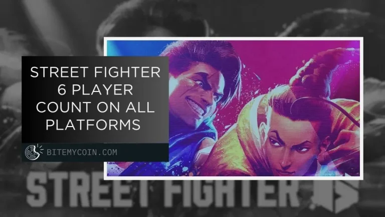 Street Fighter 6 Player