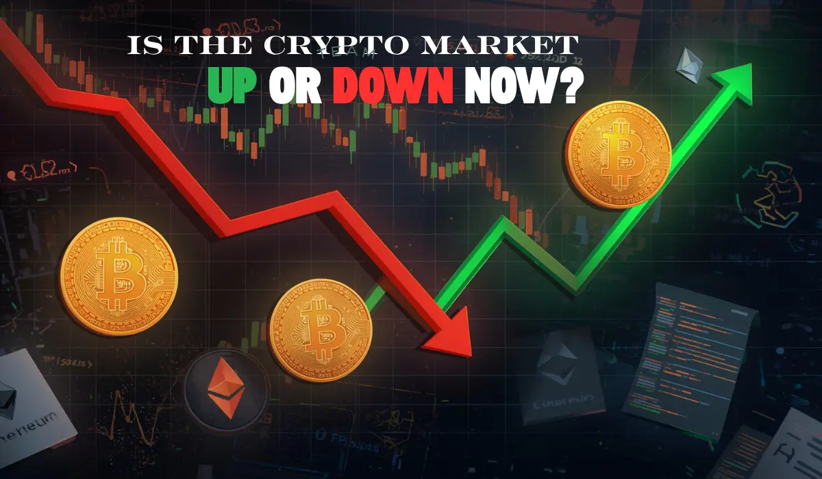 Is the Crypto Market Up or Down Now