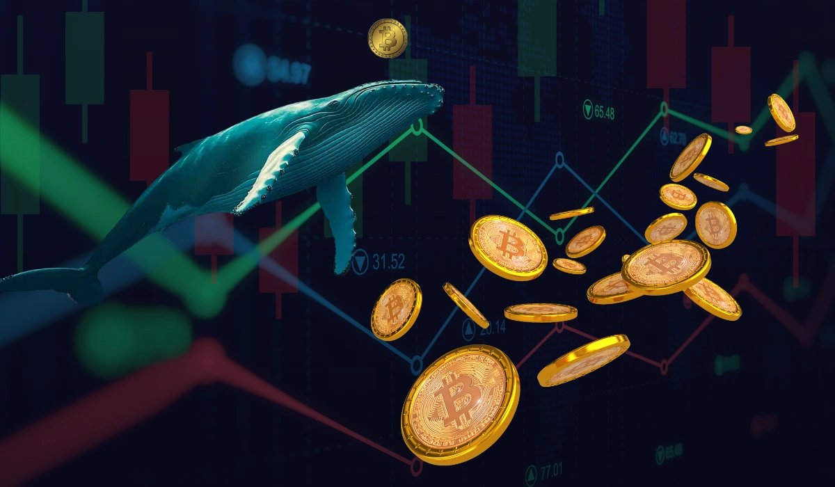 Crypto Whale