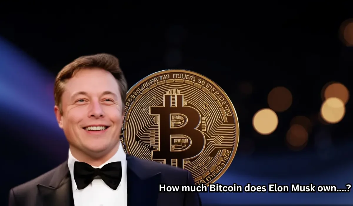 How much Bitcoin does Elon Musk Own