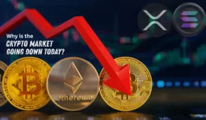 Why is The Crypto Market Going Down Today?