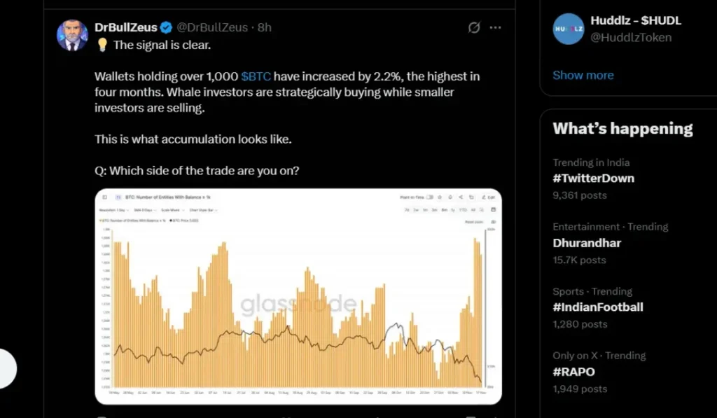 Bitcoin Whales Switch to Buy Amid BTC Price Slumps: Here is Why!