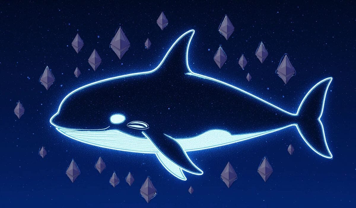 Ethereum whales add 7.6 million ETH amid growing calls for market rebound