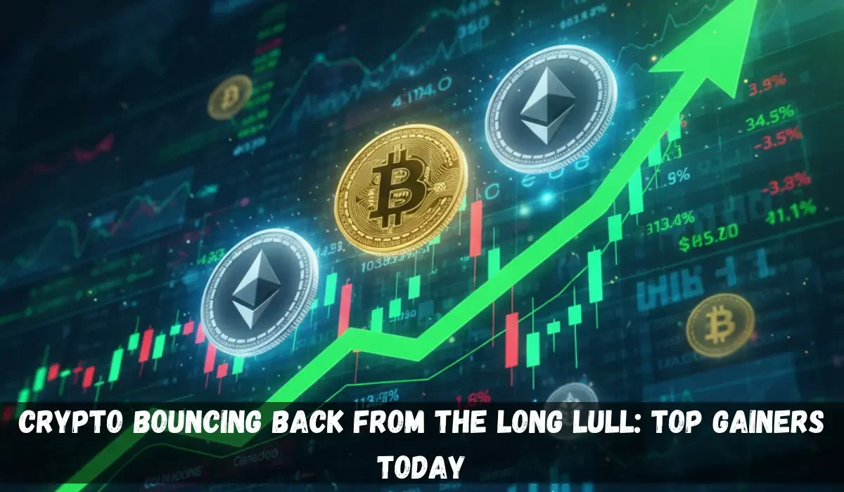 Crypto Bouncing Back From the Long Lull: Top Gainers Today
