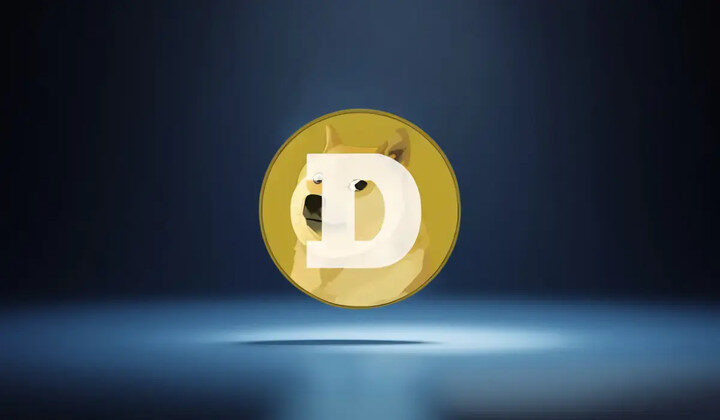 Dogecoin Casino Payment Method