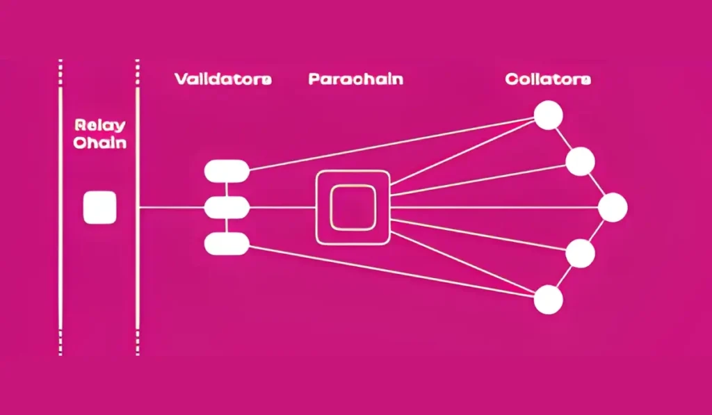 The Relay Chain-The Central Nervous System